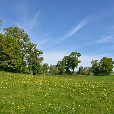 Bungis Ferien Direkt Am Grimnitzsee, Karree 11 Joachimsthal