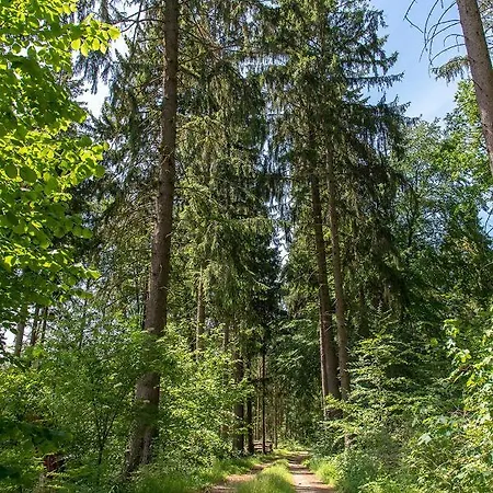 Ferienhaus Bungis Ferien Direkt Am Grimnitzsee, Karree 11 *